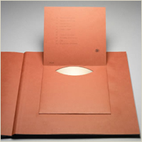 御宿之本店 ライオンになった猫