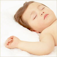 御宿之本店 Perfectly パーフェクトリー